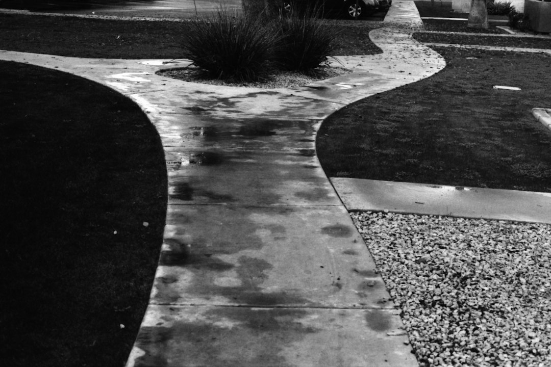 Outdoor concrete walkway alongside landscaping